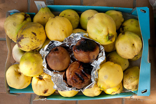 Quince, raw and roasted Quince, raw and roasted