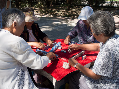 Women playing mahjong, Harbin Women playing mahjong, Harbin