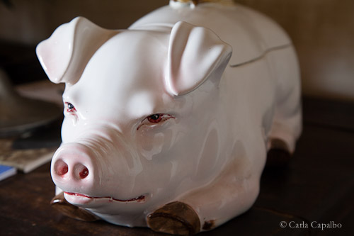 Pigs are revered in Italy Pigs are revered in Italy